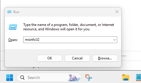 typing msinfo in Windows run dialog