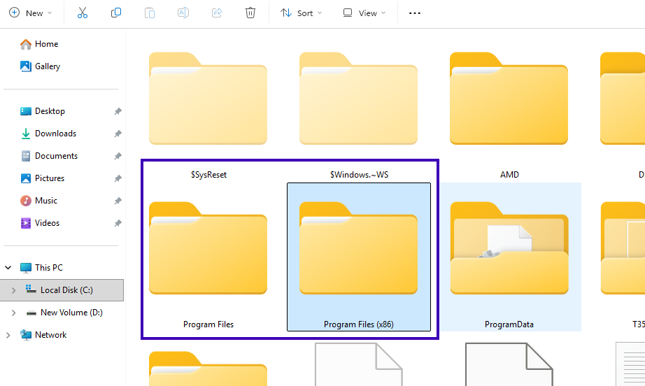 Program Files and Program Files (x86) folder in C drive